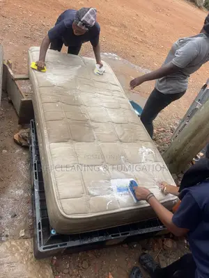 Bring Your Mattresses to Life