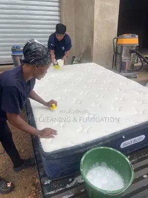 Mattress Cleaners, Washing - Extraction - Drying Refreshing