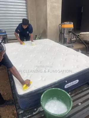 Mattress Cleaners, Washing - Extraction - Drying Refreshing