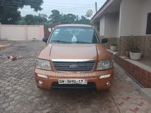 Ford Escape 2008 Orange