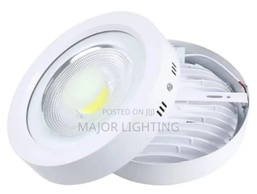 Cob Light 30 Watts