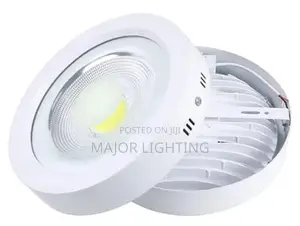 Cob Light 30 Watts