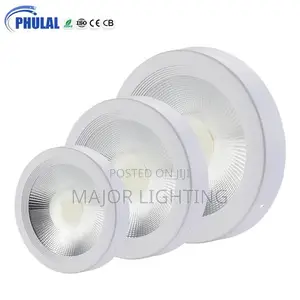 Cob Light 30 Watts