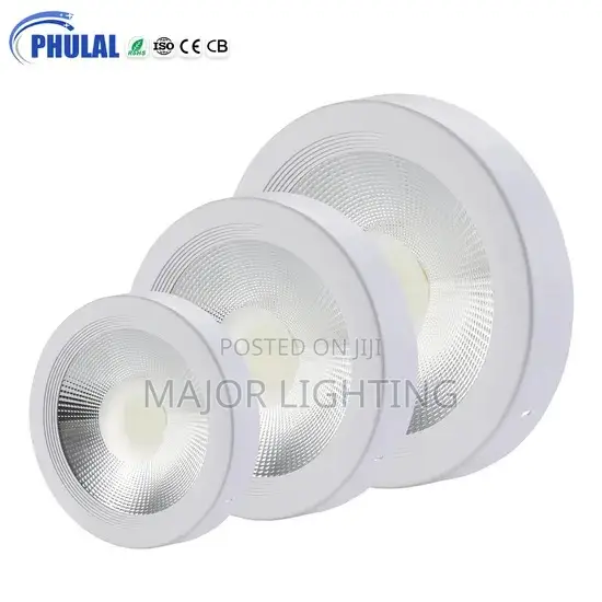 Cob Light 30 Watts