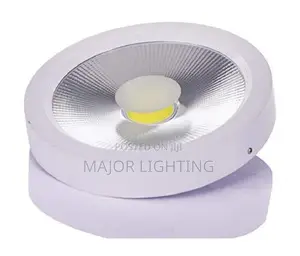 Cob Light 30 Watts