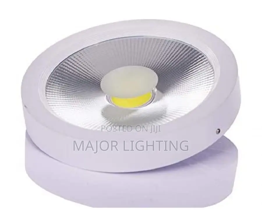 Cob Light 30 Watts
