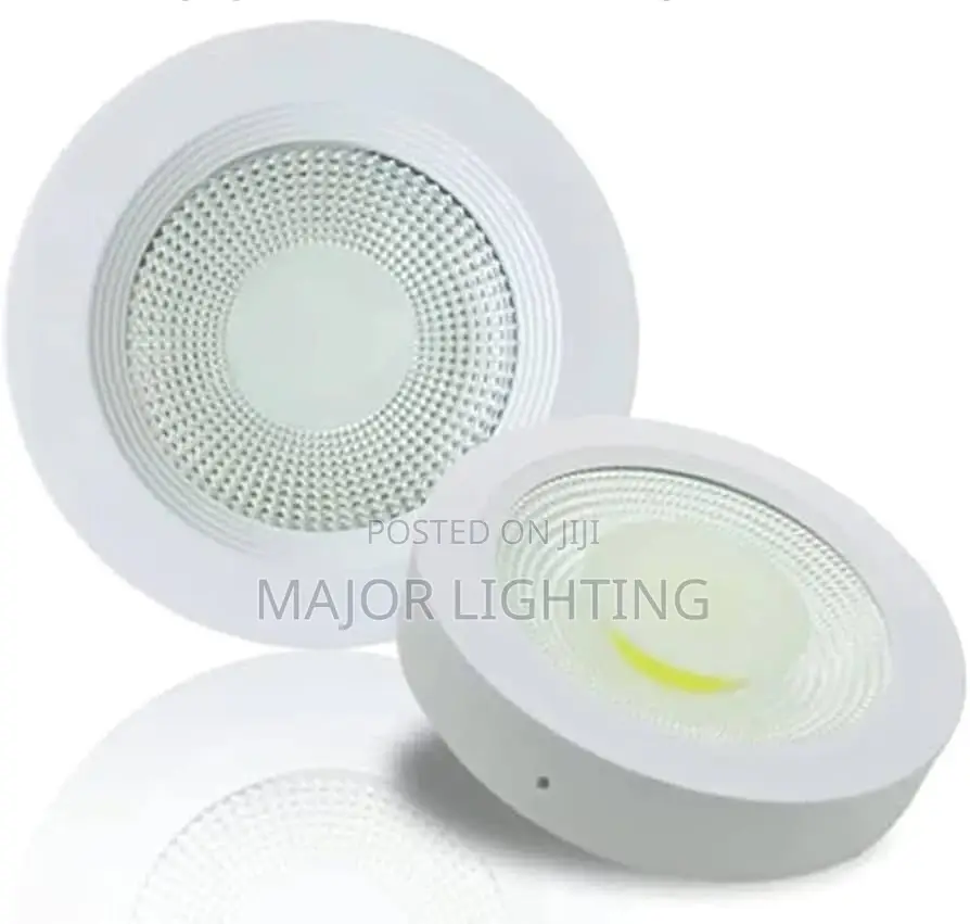 Cob Light 30 Watts