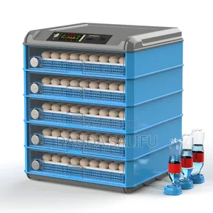 500 Eggs Incubator