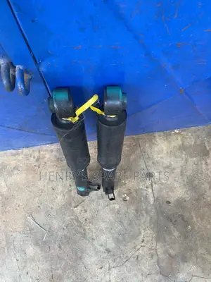Santa Fe Back Shocks