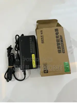 Electric Bike Acid Batteries Charger 60v