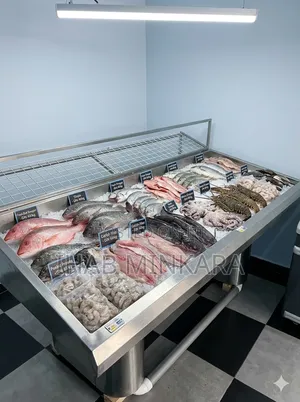 Premium Commercial Stainless Steel Display Table / Freezer