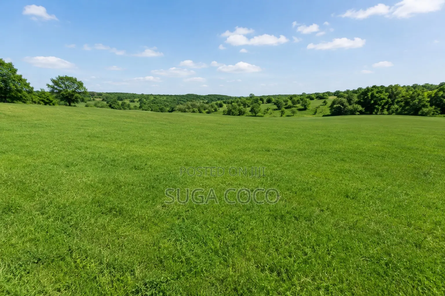 Land for Sale