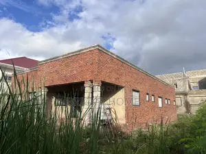 Bricks Tiles for House Cladding