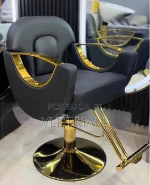 Luxurious Saloon Chairs