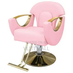 Luxurious Saloon Chairs