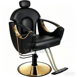Luxurious Saloon Chairs