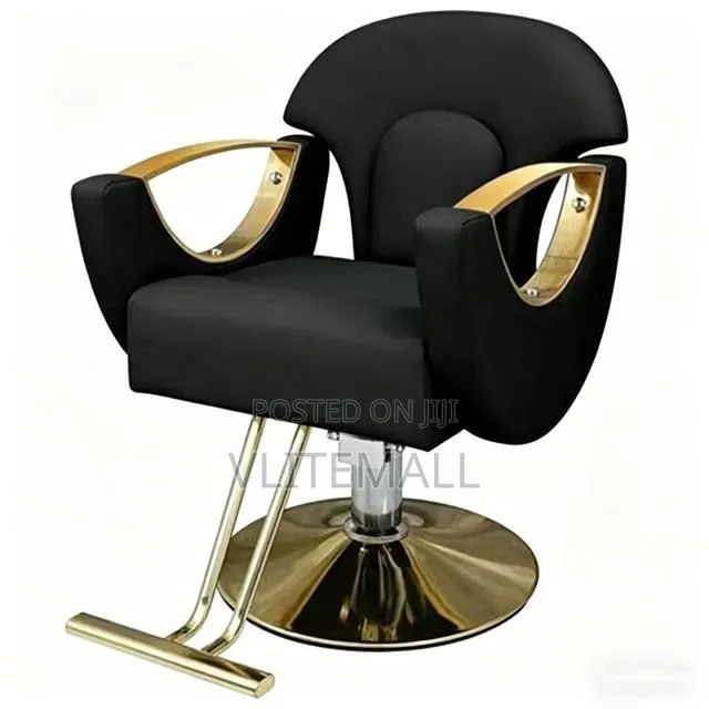 Luxurious Saloon Chairs