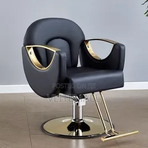Luxurious Saloon Chairs