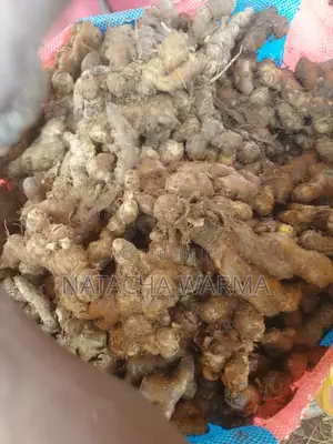 Fresh Ginger