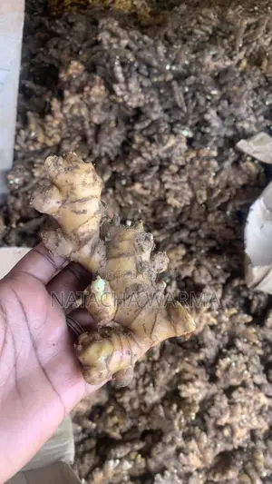 Fresh Ginger
