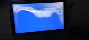 Philips 32" TV White Shade Not Visible When It Displays Images