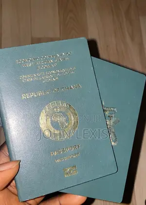 Georgia Tourist Visa Before Payment