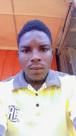Male Factory Workers Abossey Okai