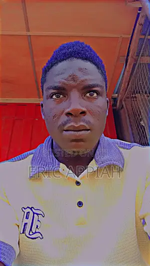Male Factory Workers Abossey Okai