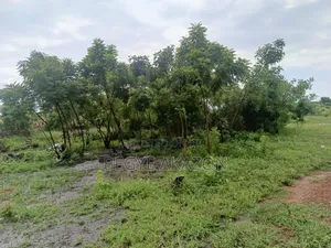 5 Plots of Roadside Land for Sale at Adenta
