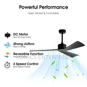 Ceiling Fans