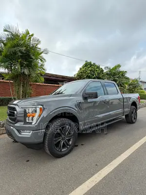 Ford F-150 XLT 2021 Gray