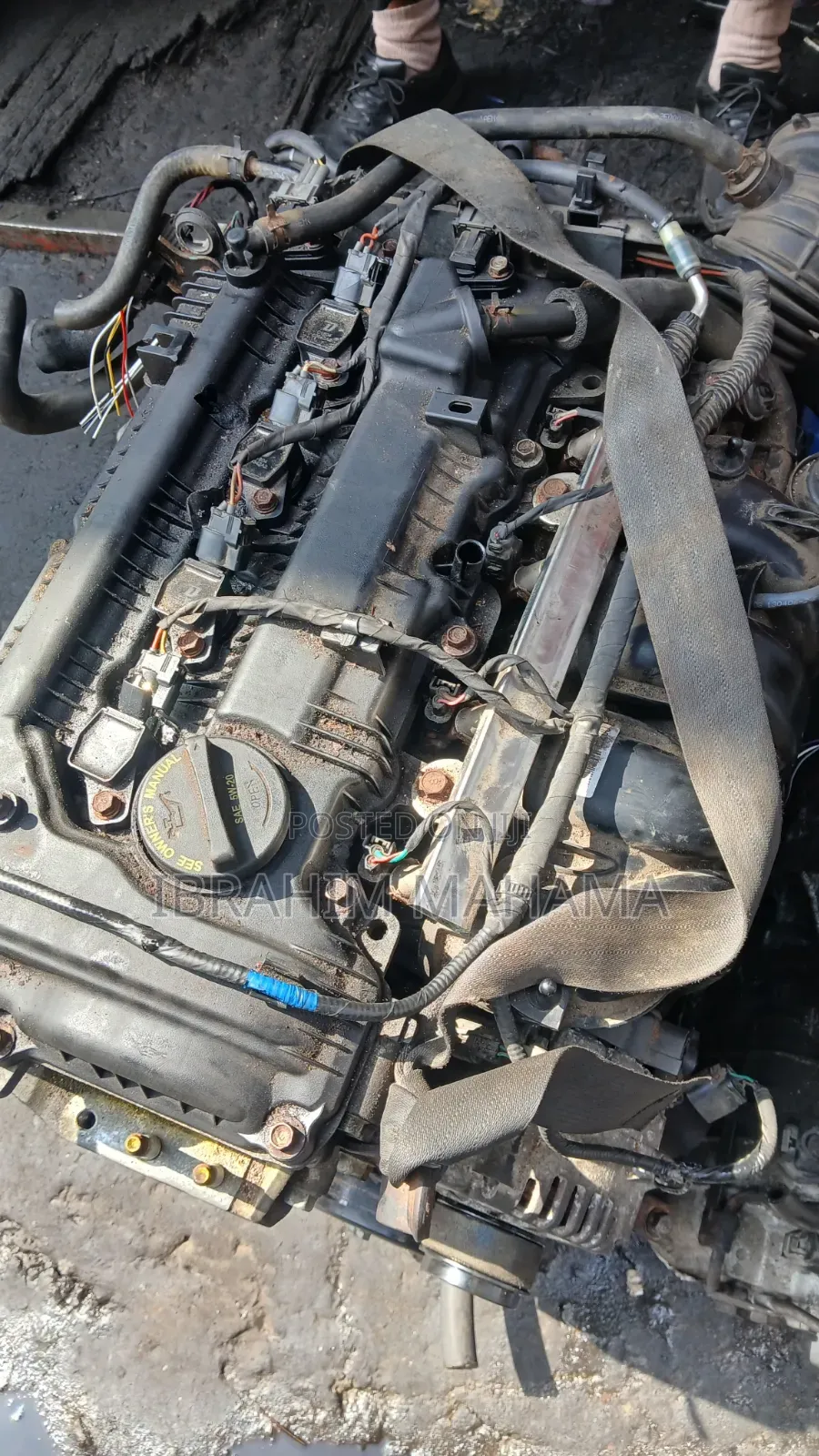 Kia and Hyundai Engines Available QLL Cars