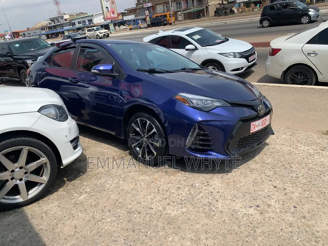 Car Rental
