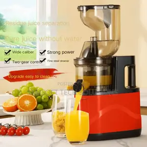 Electric Household Vegetable Juice Multi-functional Slow Juicer