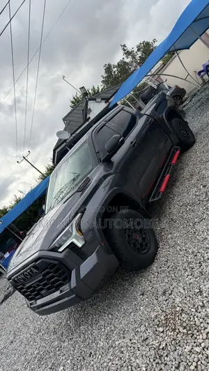 Toyota Tundra 2025 Gray