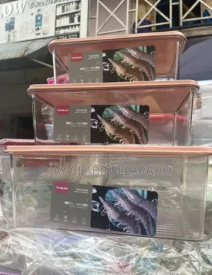 Food Fish And Fruits Storage Kitchen Setup Box