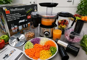 10 In1 Multifunctional Juicer /Blender