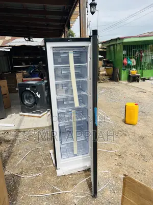Order Affordable Pearl Single Door Upright Standing Freezer(Puf-370)