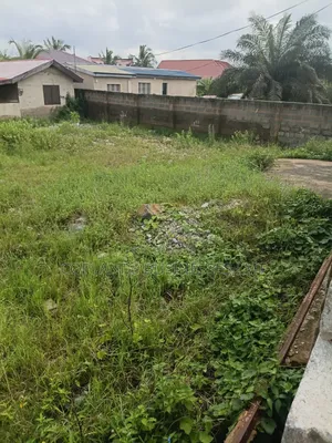 Two Plot of Land for Sale