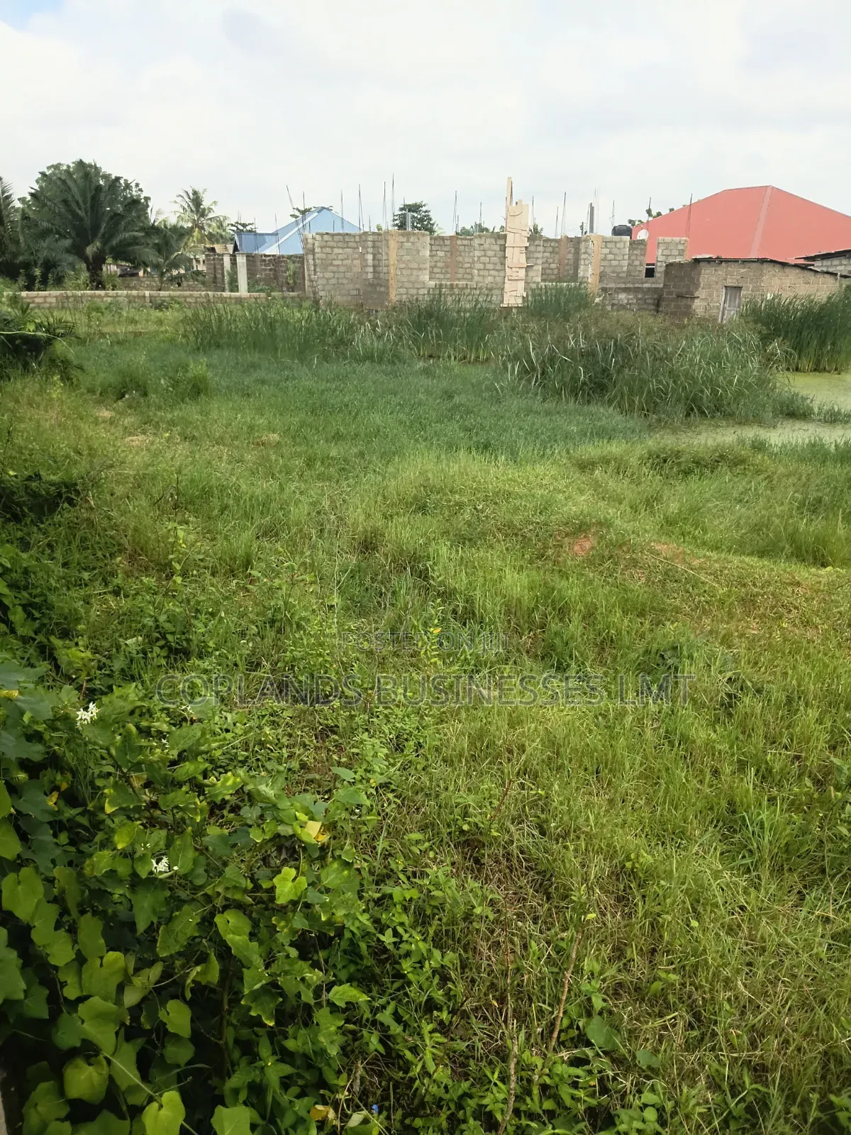 Two Plot of Land for Sale