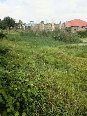 Two Plot of Land for Sale