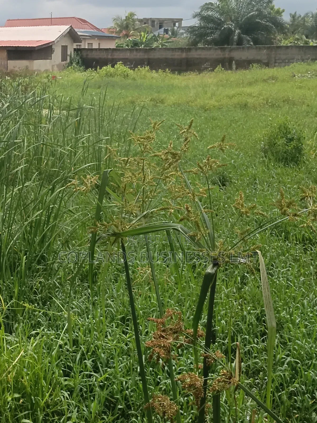 Two Plot of Land for Sale
