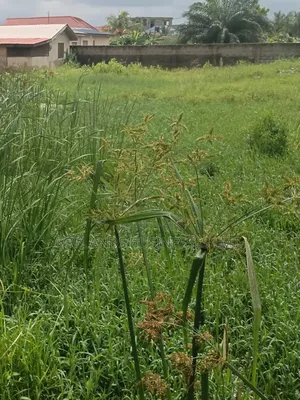 Two Plot of Land for Sale