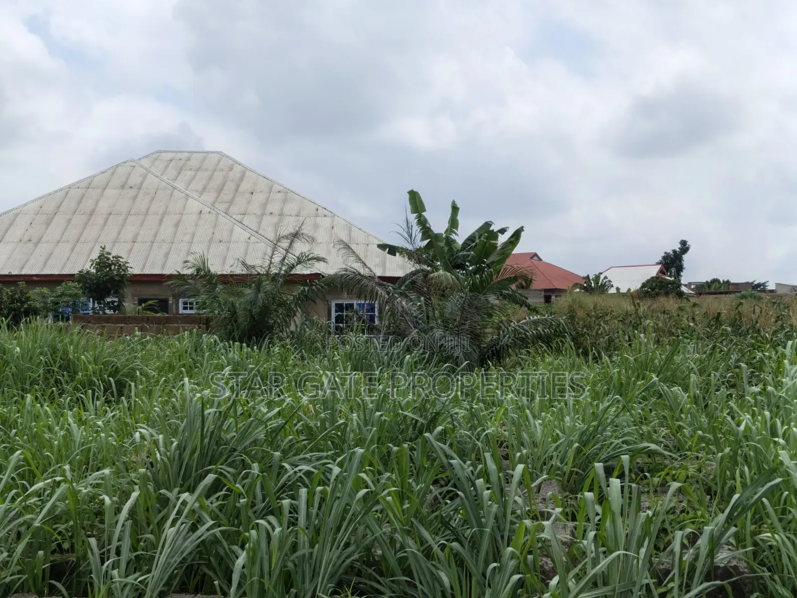 Plot for Sale at Ejisu Adadientem