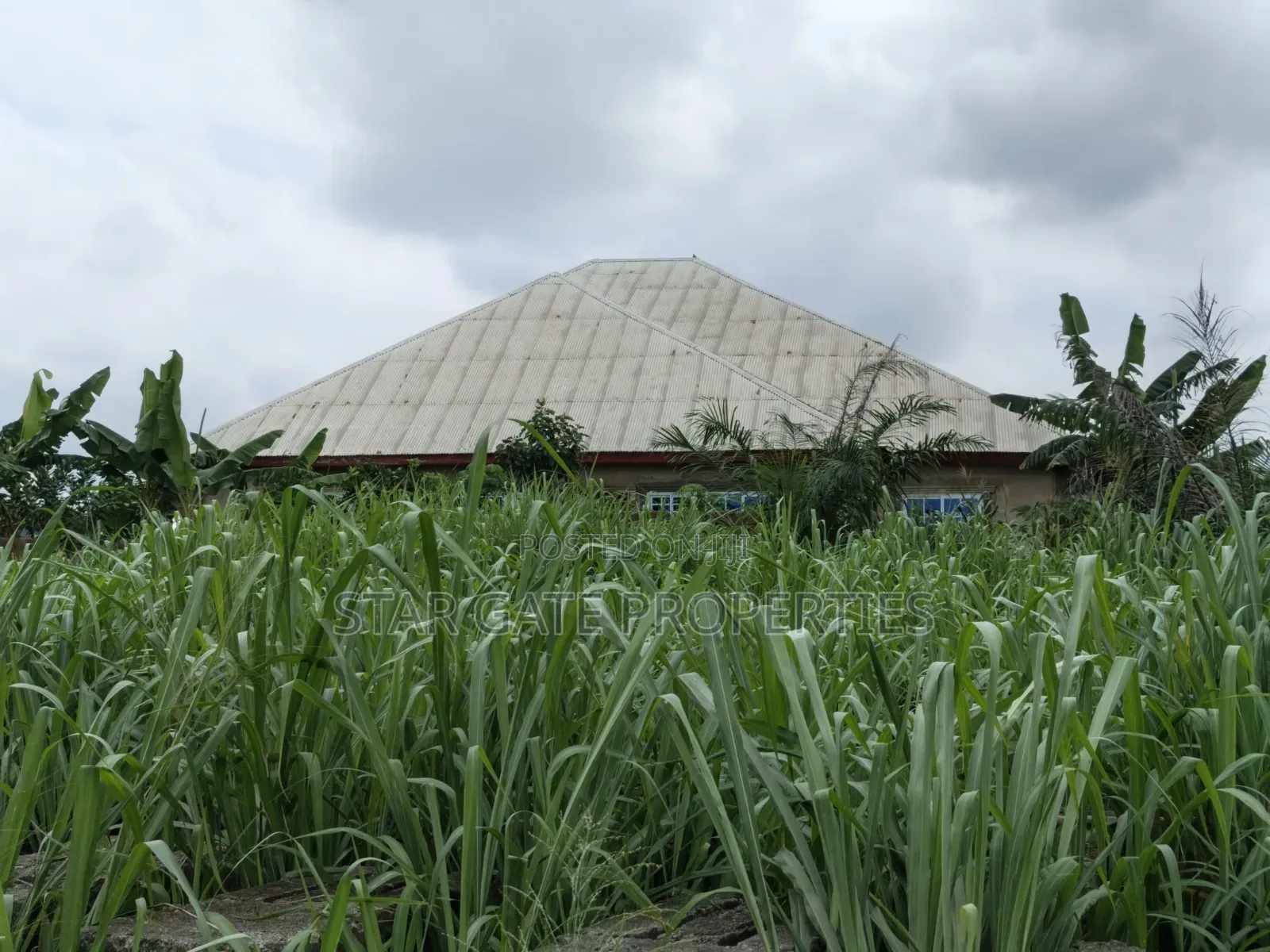 Plot for Sale at Ejisu Adadientem
