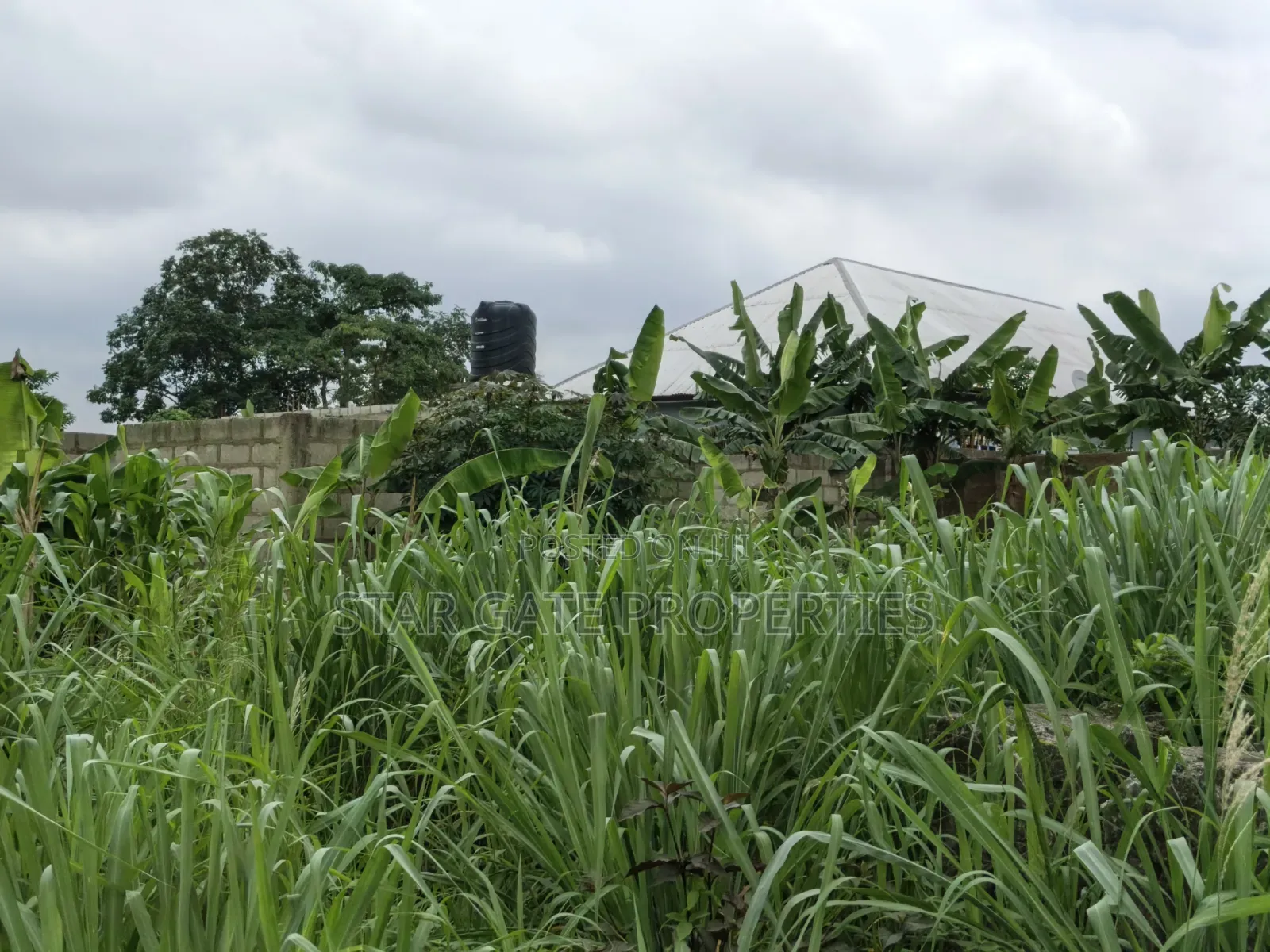 Plot for Sale at Ejisu Adadientem