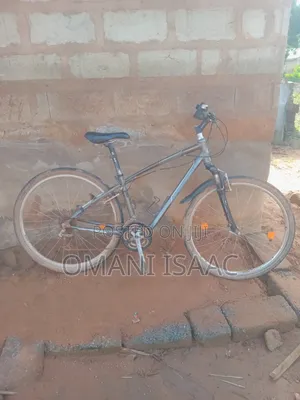 Slightly Used Bicycle