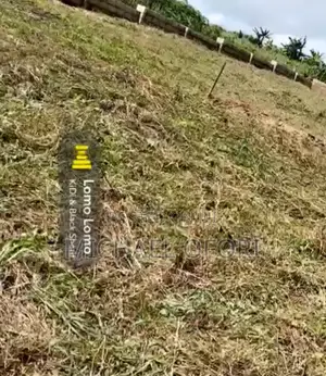 Litigation Free Land Up for Grabs