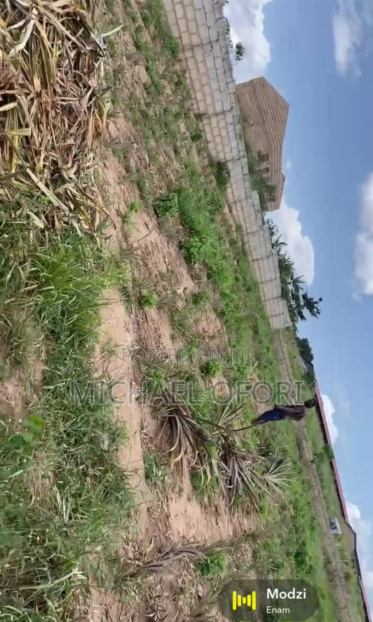 Litigation Free Land Up for Grabs