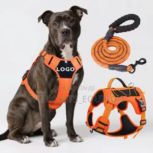 Leash, Collar and Harness Complete Set for Dogs